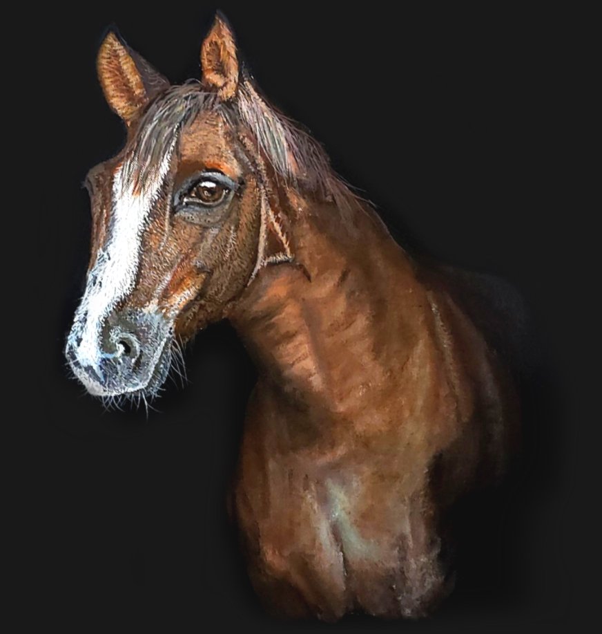 Acrylic Painting of Horse