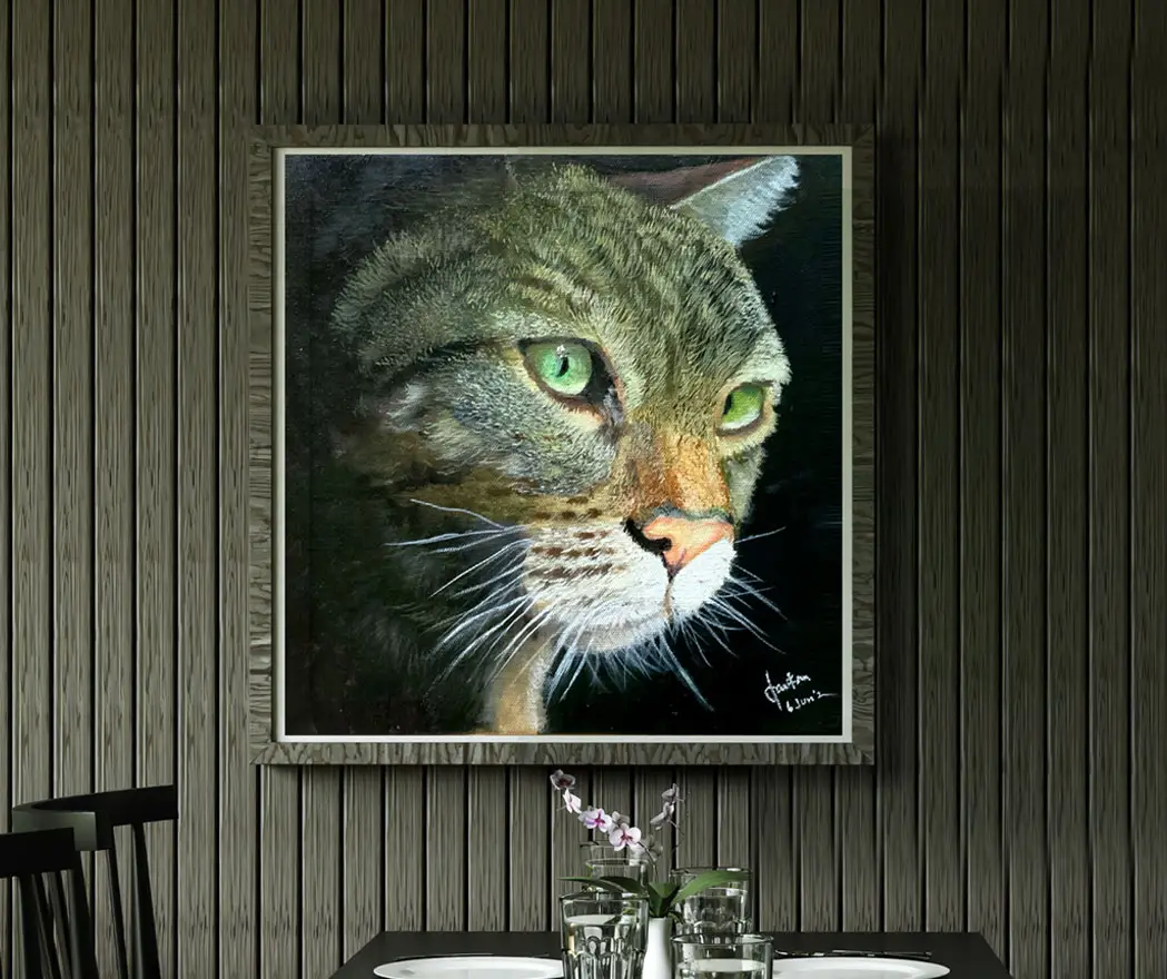 Eye ‘Cat’ching