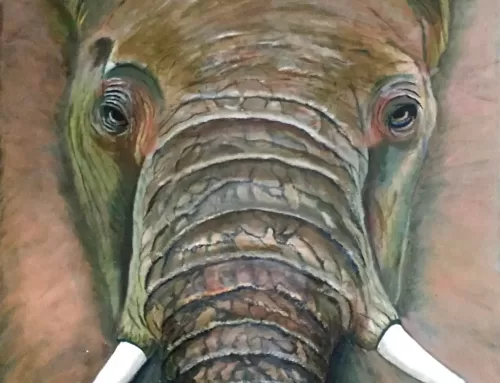 The elephant in the room