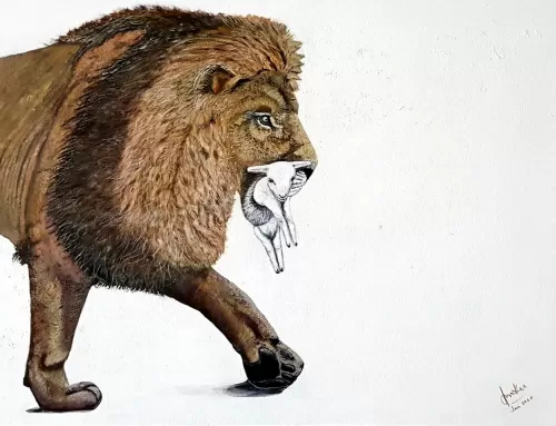 Lion & Lamb