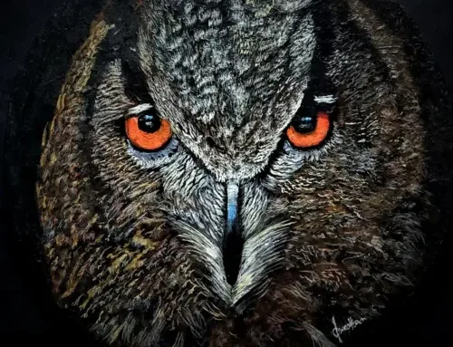 Sc’Owl’ Face