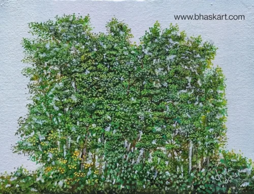 Shades of Green
