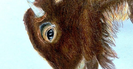 A sparrow starring at a cow